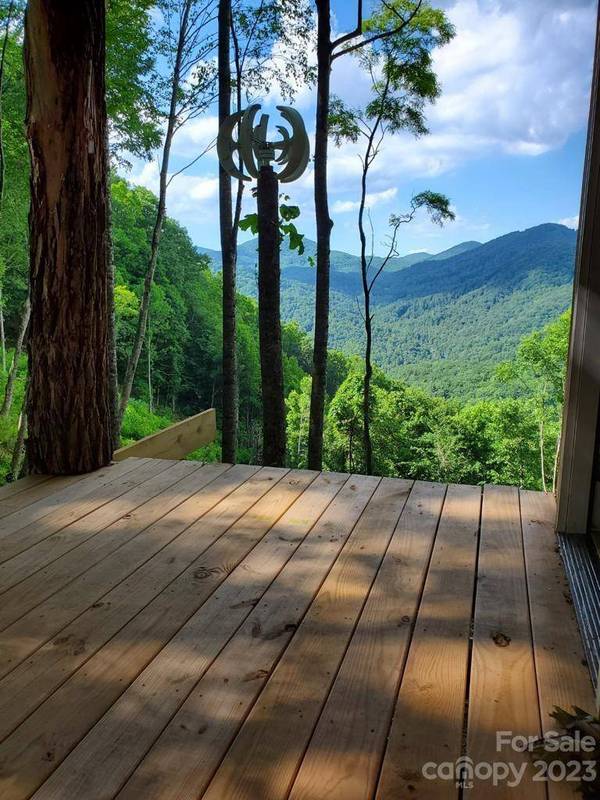 4302 Pigeon Roost RD, Green Mountain, NC 28740