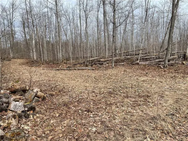 11179N Blue Heron Lane, Hayward, WI 54843