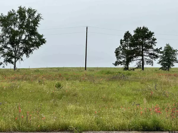 TBD Armadillo Rd. Lot 11-12, Gilmer, TX 75644