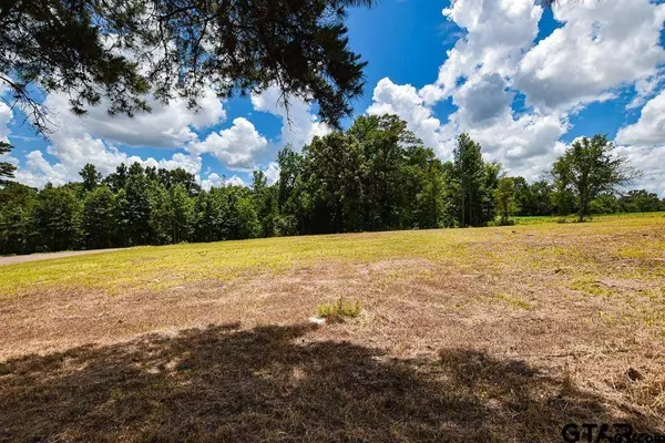 TBD Armadillo Rd. Lot 11-12, Gilmer, TX 75644