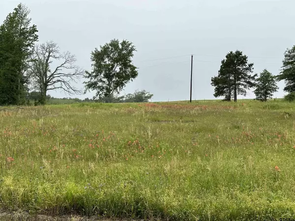 TBD Armadillo Rd. Lot 11-12, Gilmer, TX 75644