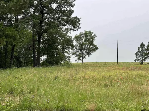 TBD Armadillo Rd. Lot 11-12, Gilmer, TX 75644