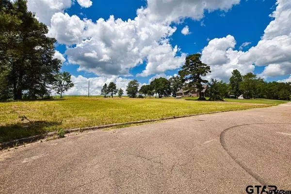 TBD Armadillo Rd. Lot 11-12, Gilmer, TX 75644