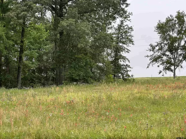 TBD Armadillo Rd. Lot 11-12, Gilmer, TX 75644