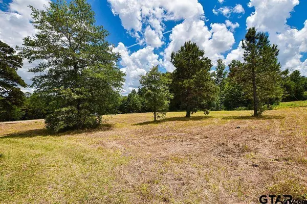 TBD Armadillo Rd. Lot 11-12, Gilmer, TX 75644