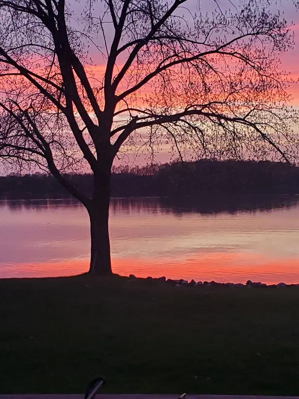 73220 178th ST, Collinwood Twp, MN 55325