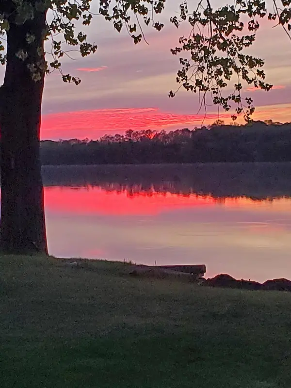 73220 178th ST, Collinwood Twp, MN 55325