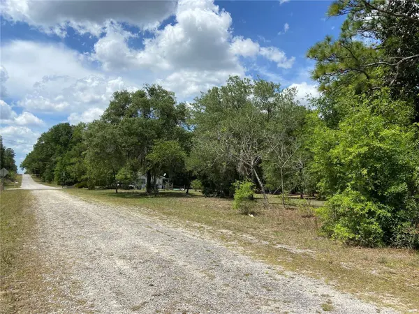 0 SW PINE BLUFFS RD, Dunnellon, FL 34431