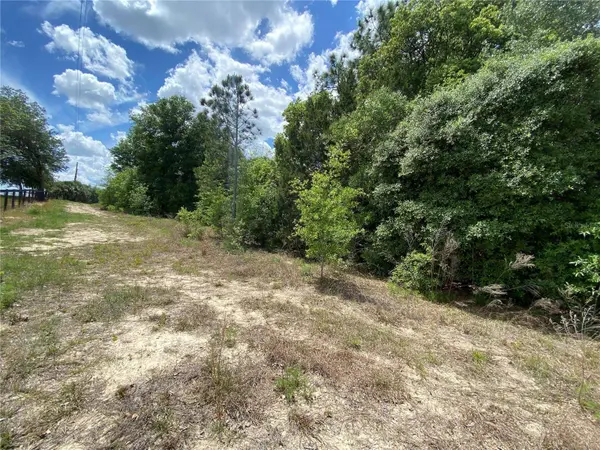 0 SW PINE BLUFFS RD, Dunnellon, FL 34431