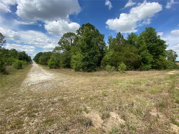 0 SW PINE BLUFFS RD, Dunnellon, FL 34431