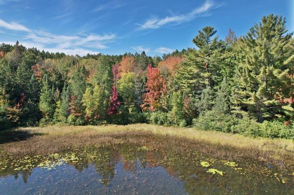 ON MIRROR VIEW LN, Rhinelander, WI 54501