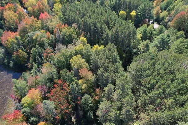 ON MIRROR VIEW LN, Rhinelander, WI 54501