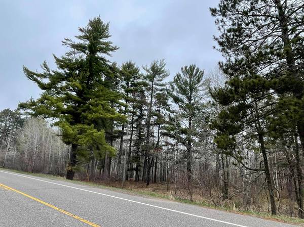 TBD 24th ST SW, Pine River, MN 56474