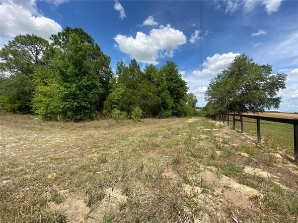0 SW PINE BLUFFS RD, Dunnellon, FL 34431