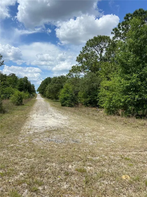 0 SW PINE BLUFFS RD, Dunnellon, FL 34431