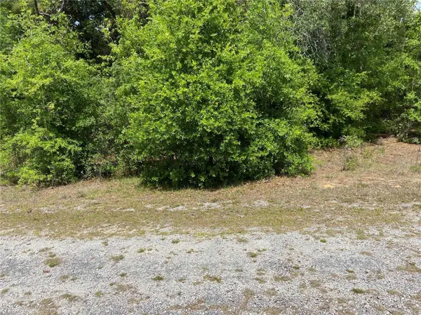 0 SW PINE BLUFFS RD, Dunnellon, FL 34431