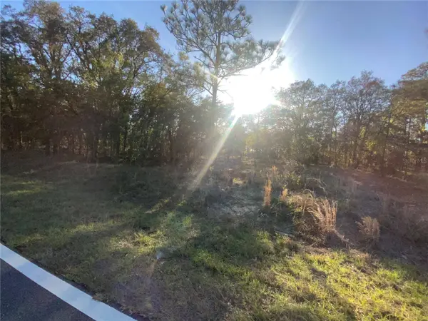 Lot 11,12 NW RIDGEWOOD RD, Dunnellon, FL 34431