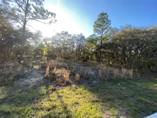 Lot 11,12 NW RIDGEWOOD RD, Dunnellon, FL 34431