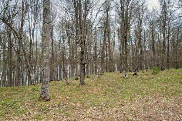 1235 EAGLES NEST, Phelps, WI 54554