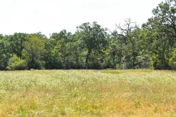 TBD Bundic RD, North Zulch, TX 77872