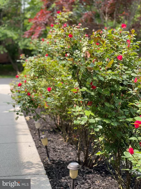 20412 CRIMSON PL, Leesburg, VA 20175