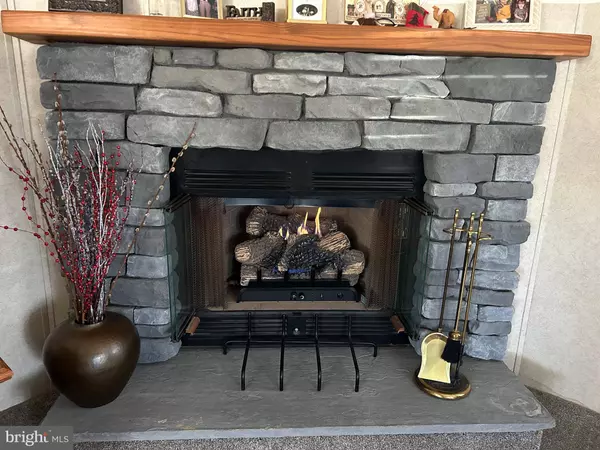 164 W CEDAR ST, Palmyra, PA 17078