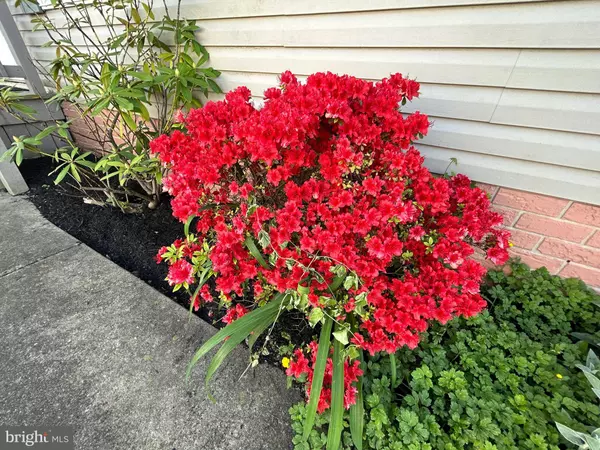 164 W CEDAR ST, Palmyra, PA 17078