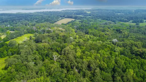 000 TBD FM 2661, Flint, TX 75762