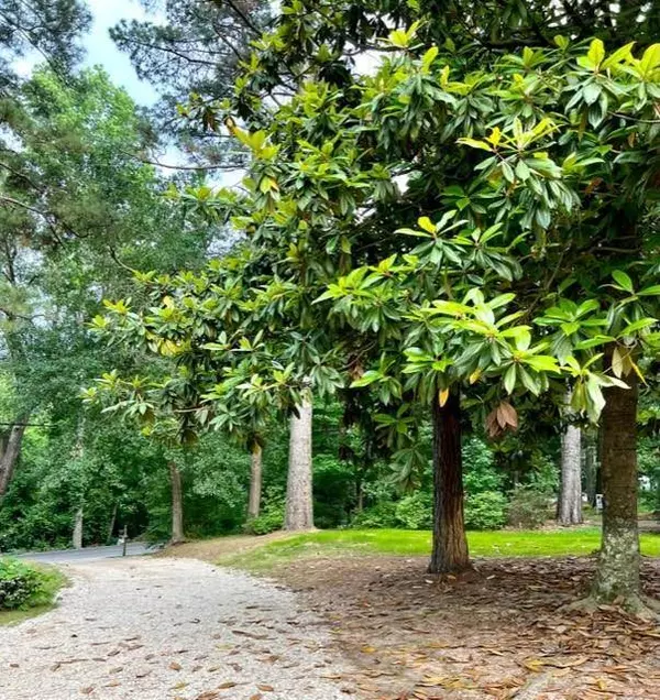 634 Northgate Drive, Hideaway, TX 75771