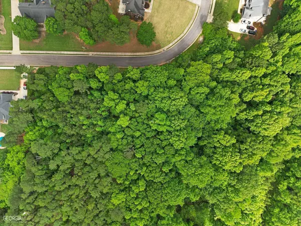 124 Cambridge Woods DR, Mcdonough, GA 30252