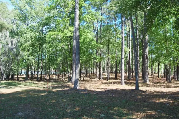 TBD Cottage Dr., Summerton, SC 29148