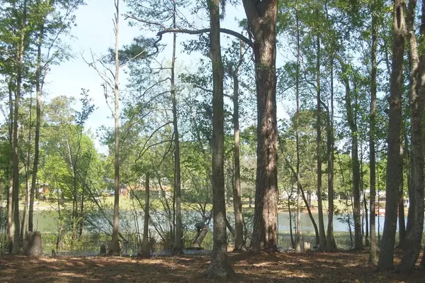 TBD Cottage Dr., Summerton, SC 29148