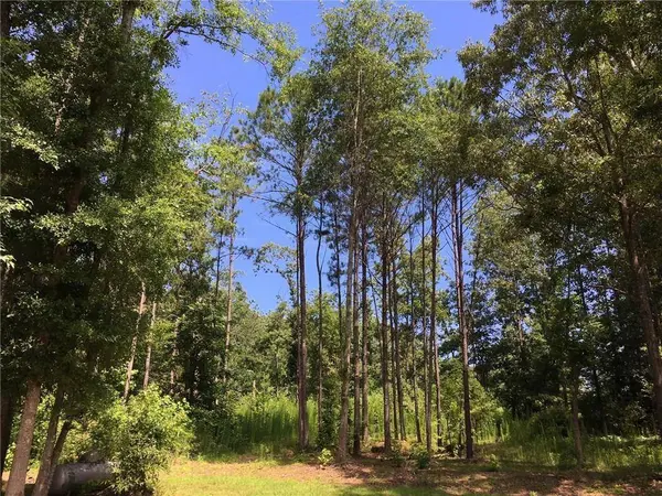 872 Panola RD, Ellenwood, GA 30294