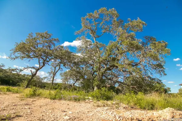 11019 Porter Springs, San Antonio, TX 78255