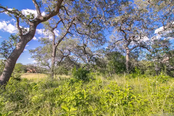 11019 Porter Springs, San Antonio, TX 78255