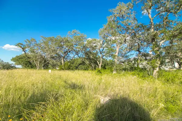 11019 Porter Springs, San Antonio, TX 78255