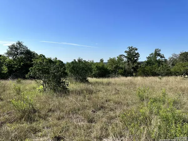 407 Deer RD, Comfort, TX 78624