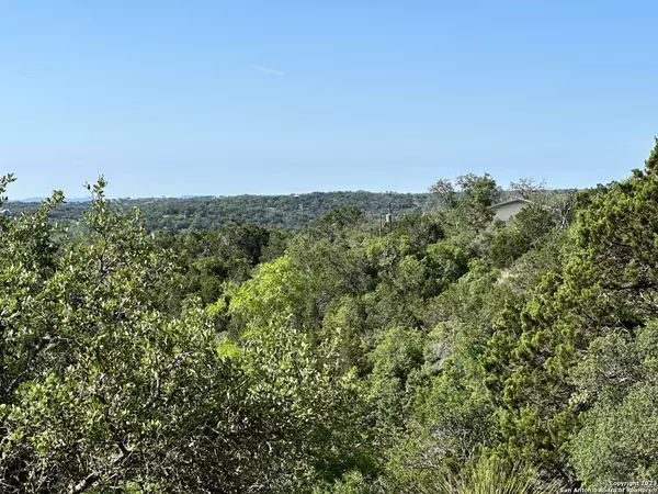 407 Deer RD, Comfort, TX 78624