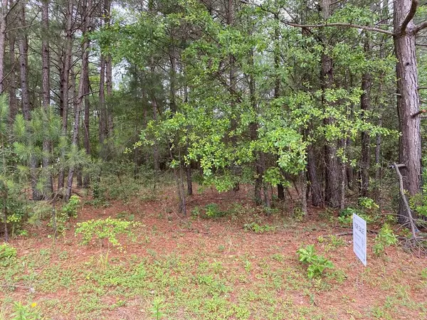 1500 HIDDEN OAKS/1380 CIR, Wedgefield, SC 29168