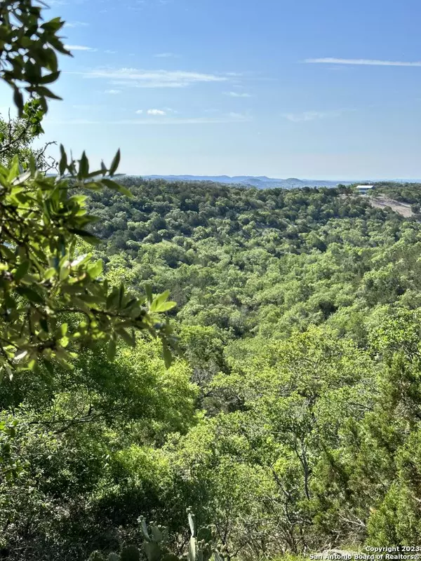 407 Deer RD, Comfort, TX 78624