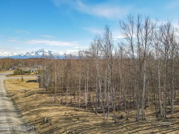 8265 E Windy Woods LOOP, Palmer, AK 99645