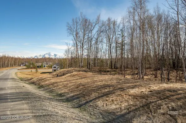 8265 E Windy Woods LOOP, Palmer, AK 99645
