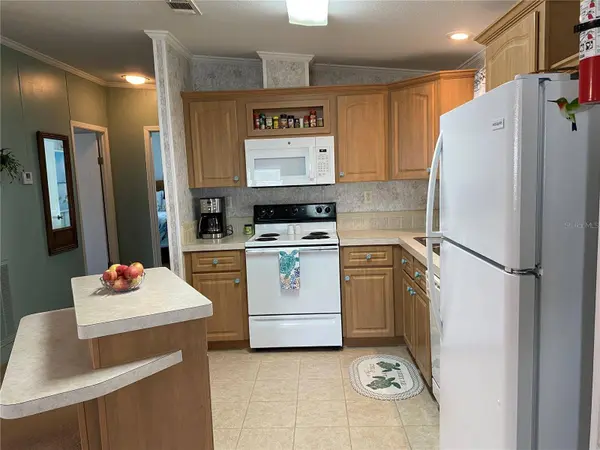 1529 SCHULT CT, Tavares, FL 32778