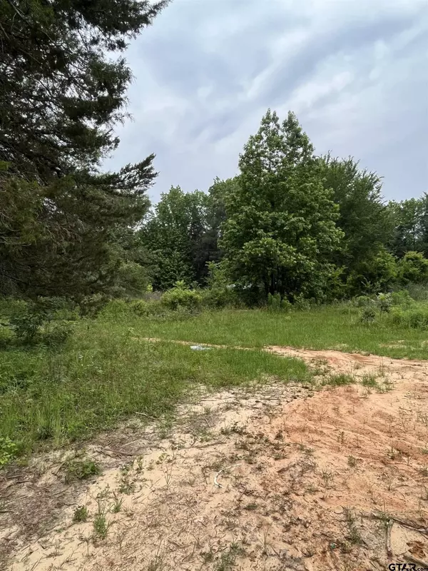 513 W Oak St, Troup, TX 75789