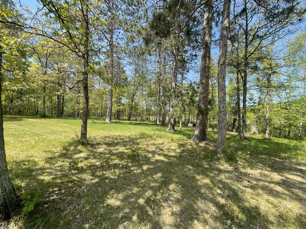 2671 & 2675 20th AVE SW, Pine River, MN 56474