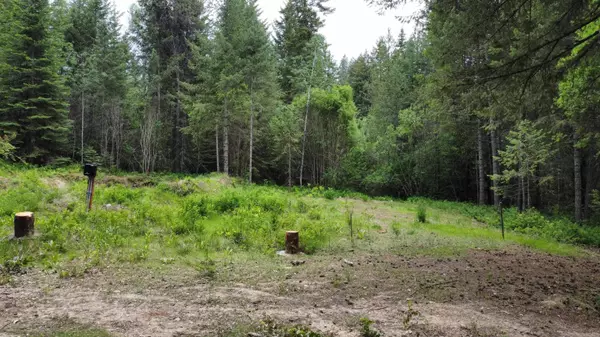 3800 Boyles Rd, Springdale, WA 99173