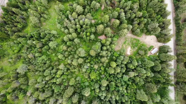 3800 Boyles Rd, Springdale, WA 99173