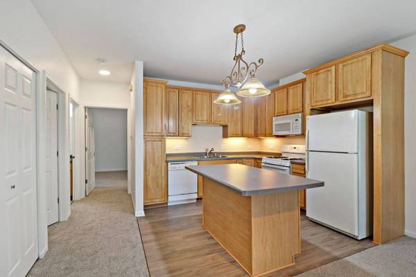 8117 Honeysuckle CT #8117, Fox Lake, IL 60020