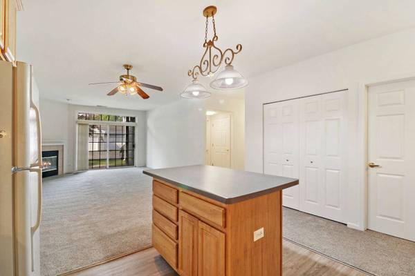 8117 Honeysuckle CT #8117, Fox Lake, IL 60020