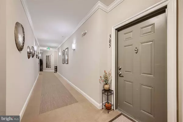 625 QUARRY VIEW CT #305, Reisterstown, MD 21136